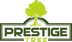 Prestige Tree