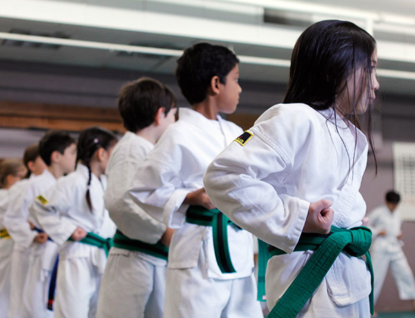 Kids lined up in martial arts pose