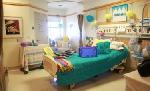 Click here for more information about Room Decorations for Patient BMT Rooms