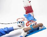 Simulation arm for arterial access 