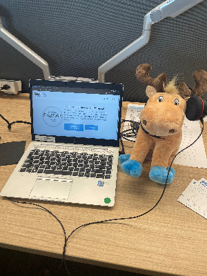 Moosey taking your donations